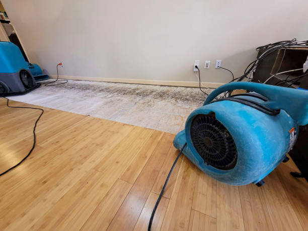 Professional Burst Pipe Water Damage technician working in Chatham, IL